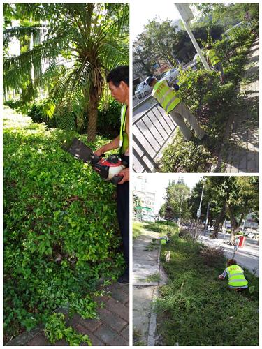 养护工作日志 写美篇园林绿化组日常工作: 深圳市宝龙泰建设工程有限